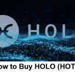 How to Buy HOLO (HOT)