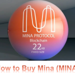 How to Buy Mina (MINA)