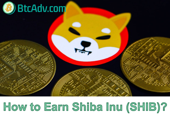 How to Earn Shiba Inu (SHIB)