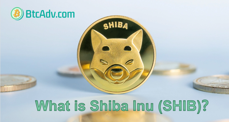 What is Shiba Inu (SHIB)