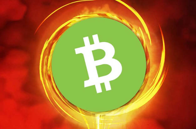 Bitcoin Cash (BCH)