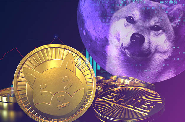 Shiba Inu Coin