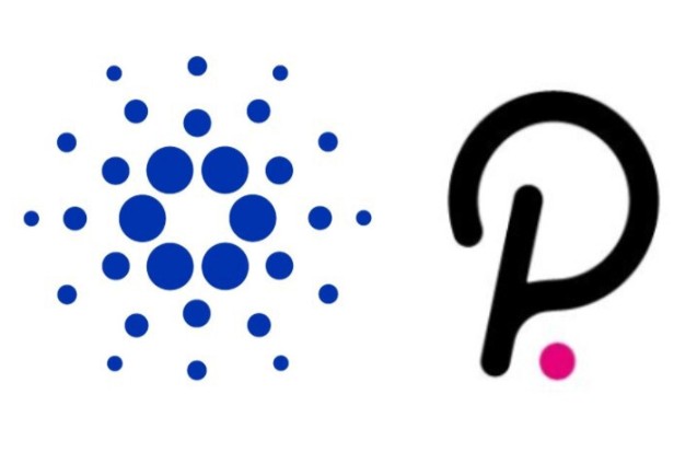 16. Cardano vs. Polkadot