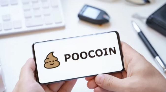 5. PooCoin App Review2