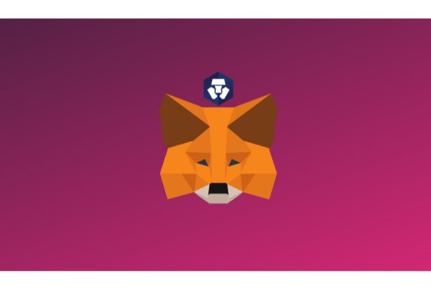 10. How to Add Cronos to MetaMask1