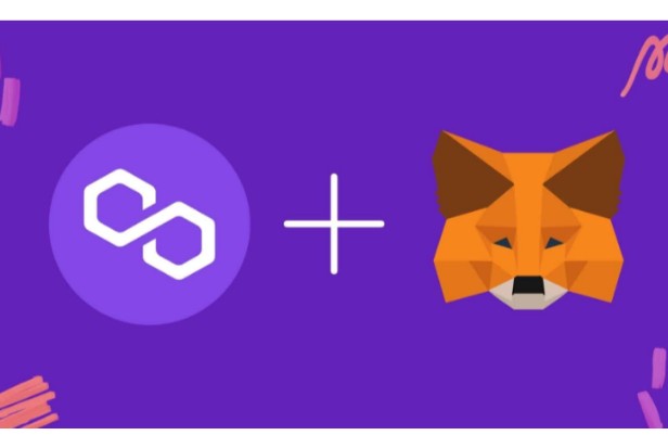 17. How to Add Polygon to MetaMask1