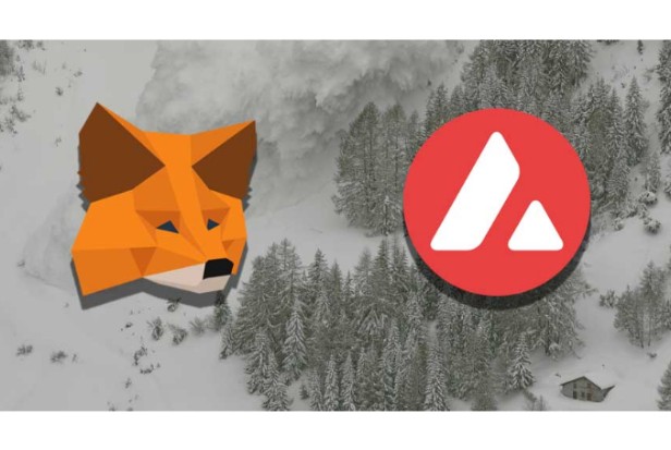 20. How to Add Avalanche to MetaMask1