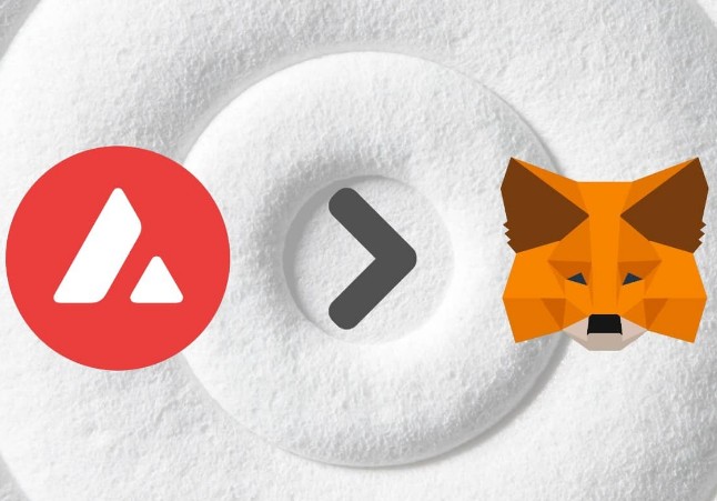 20. How to Add Avalanche to MetaMask2