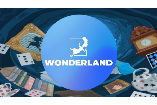 6. How to Stake Wonderlande Time1