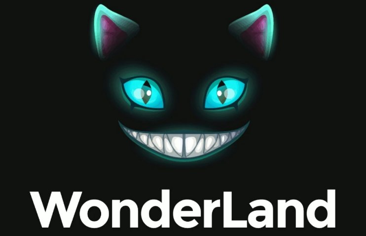 6. How to Stake Wonderlande Time2