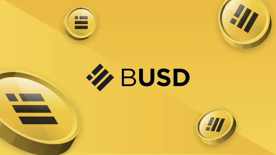 How to Add BUSD to MetaMask - Your Ultimate Guide