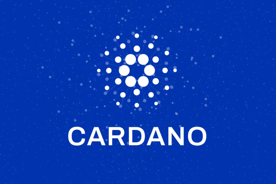 How to Add Cardano to MetaMask - What to Pay Attention