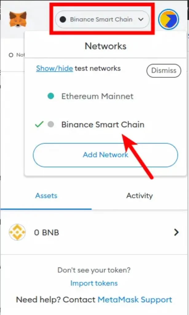 How to Add Cardano to MetaMask - What to Pay Attention