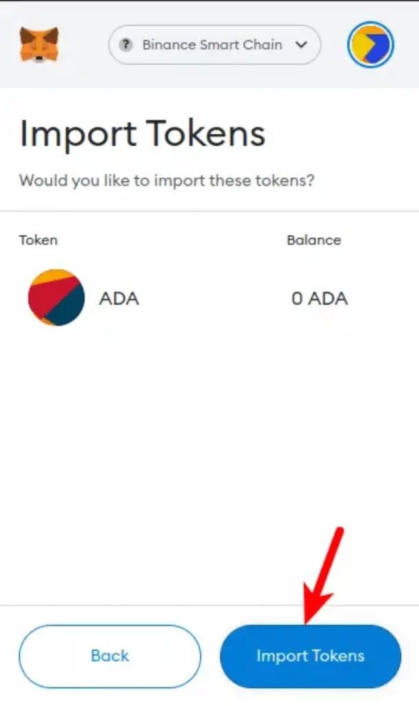 How to Add Cardano to MetaMask - What to Pay Attention
