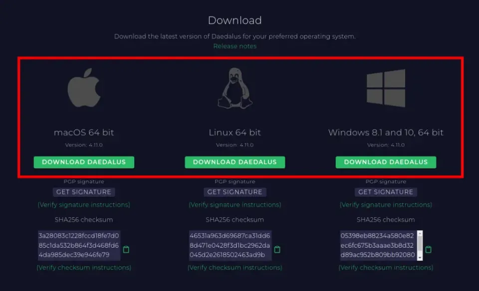 How to Add Cardano to MetaMask - What to Pay Attention