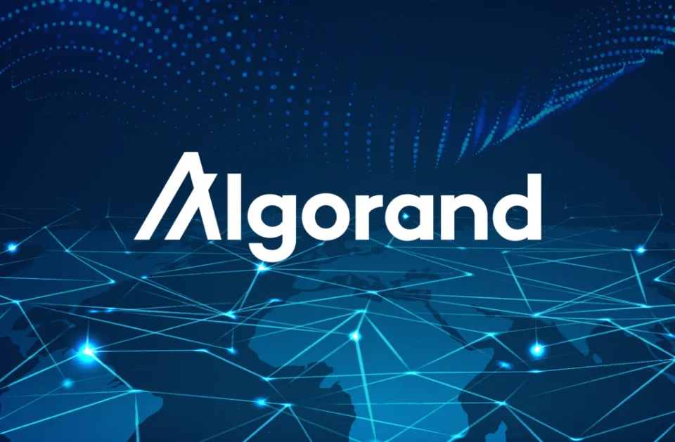 Is Algorand a Good Investment In 2022?