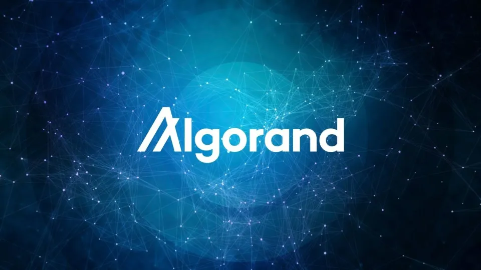 Is Algorand a Good Investment In 2022?