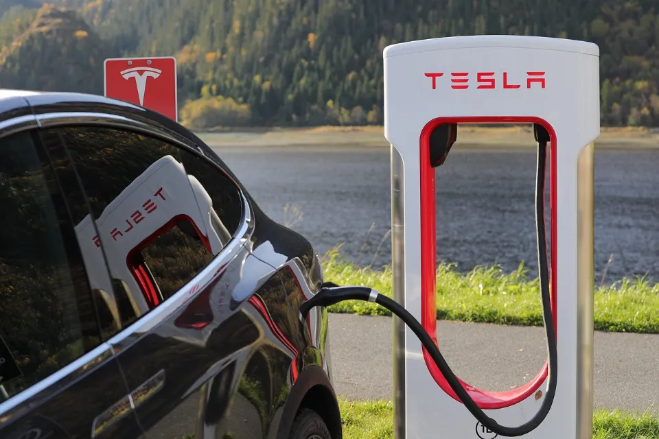 Why Tesla Stocks Dropped So Much - Is Tesla a Buy Sell or Hold?