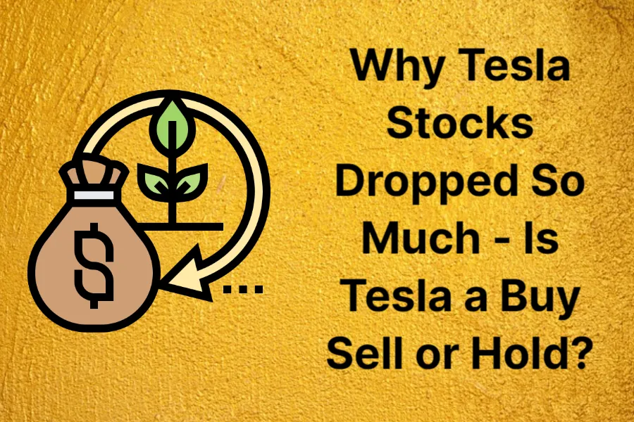 why-tesla-stocks-dropped-so-much---is-tesla-a-buy-sell-or-hold_
