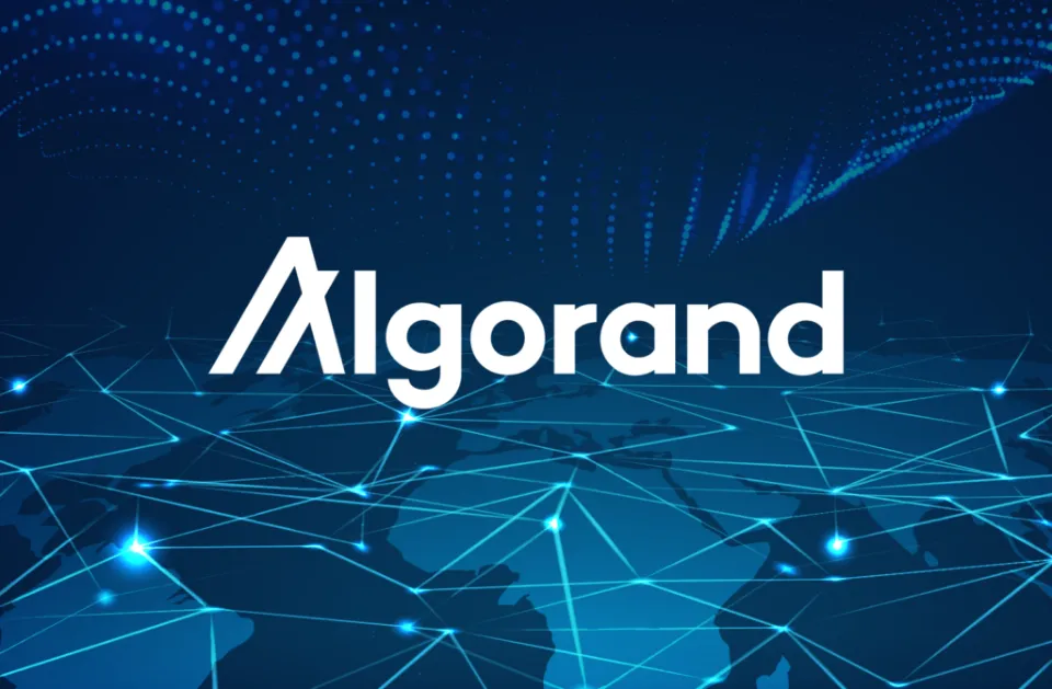 5 Best Algorand Wallets - Where Do You Hold Algorand?