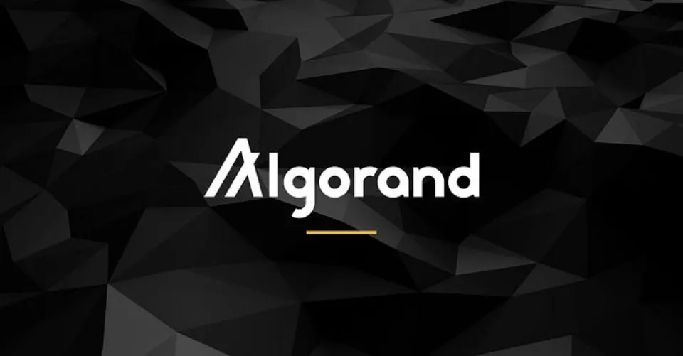 5 Best Algorand Wallets - Where Do You Hold Algorand?