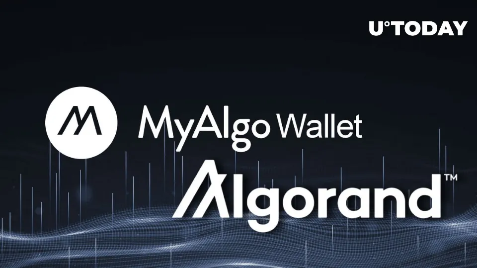 5 Best Algorand Wallets - Where Do You Hold Algorand?