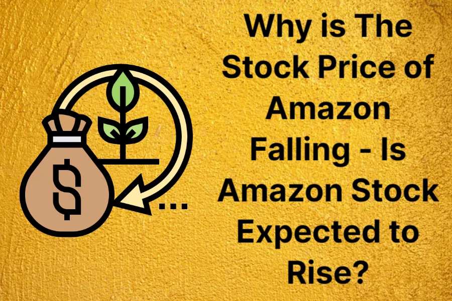 why-is-the-stock-price-of-amazon-falling---is-amazon-stock-expected-to-rise_